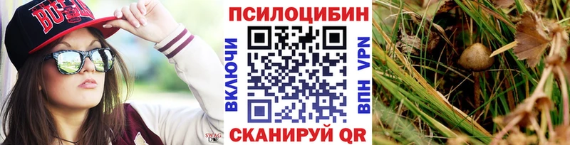 Галлюциногенные грибы прущие грибы  продажа наркотиков  Старица 