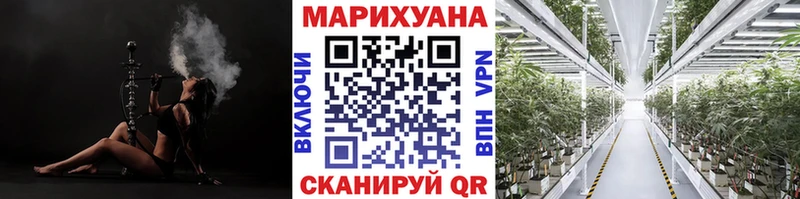Каннабис сатива  где можно купить наркотик  Старица 